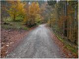 Kolnica - Lovska koča na Taležu